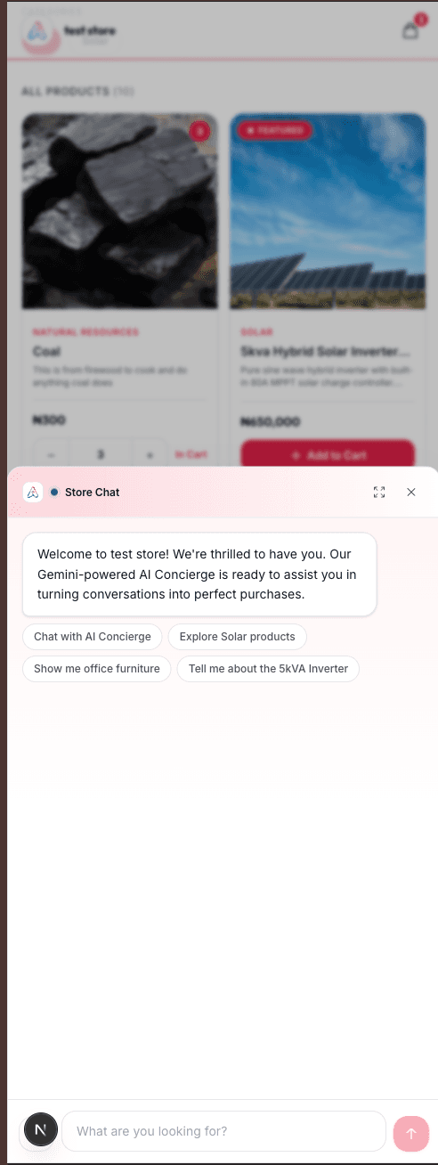 Sales Assistant in Action